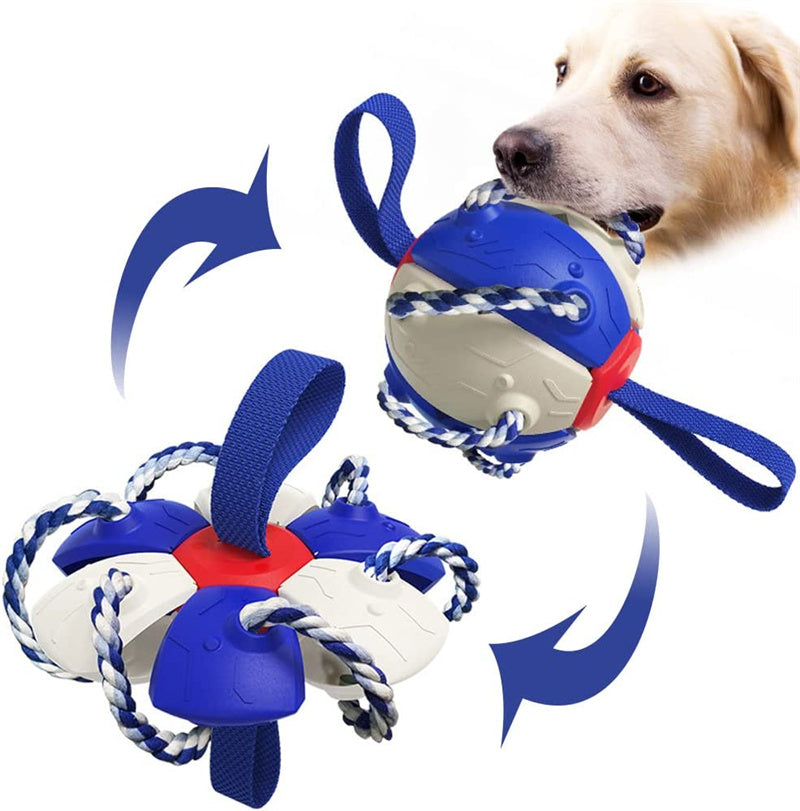 FUSCOTO Petsrook Ball Toy, Interactive Dog Toys Ball with Fun