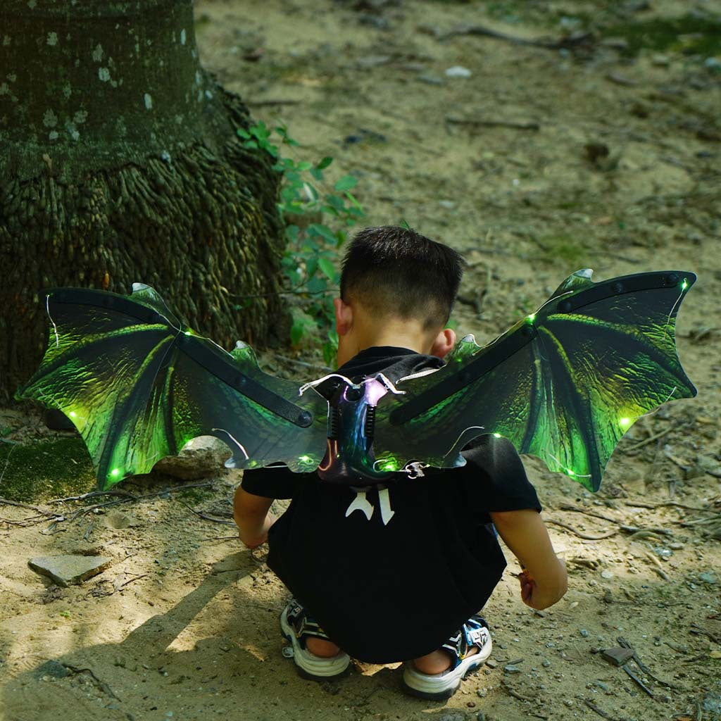 🦖Electric Butterfly Wings Children Luminous🦋 janaila