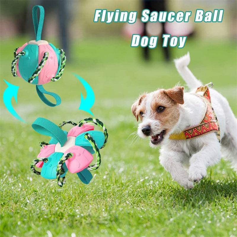 Dog Toy Ball, 20 Cm Durable Dog Toy for Small Medium Large Dogs, Interactive  Dog Football with Rope Dog Ball for Outdoor, Indoor, Lawn, Swimming - China  Durable Dog Toy and Dog