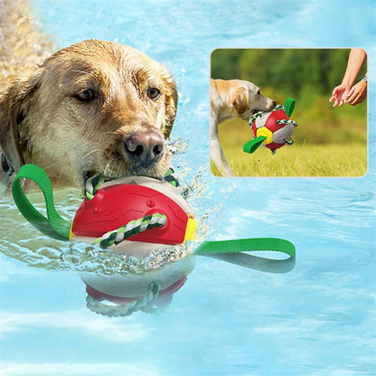 Interactive Dog Football Soccer Ball  Toy Outdoor janaila